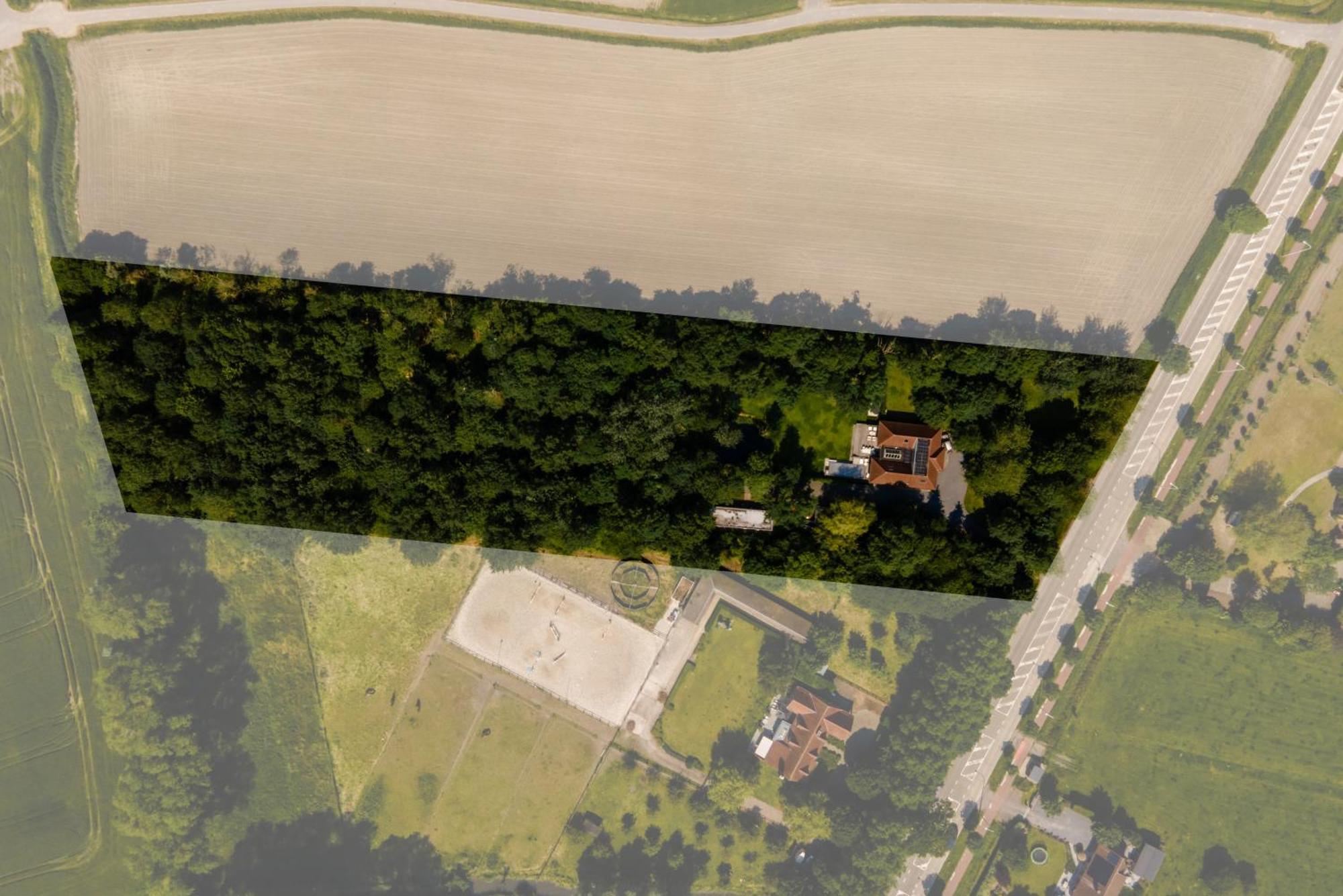 De Rietreiger Blankenberge